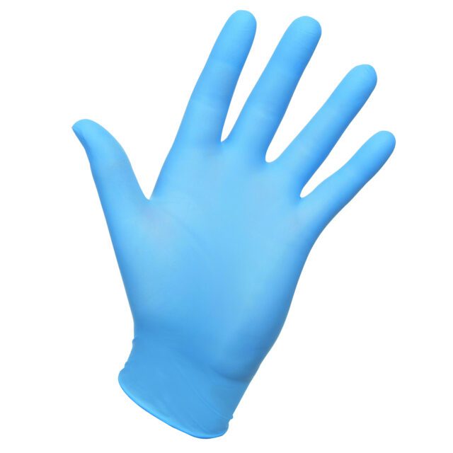 Vinyl Gloves Blue Large